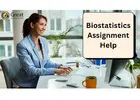 Biostatistics Assignment Help USA | Expert Support