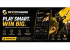 Sky Exchange Cricket App: Install Guide & Review