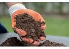 Raise pH in soil