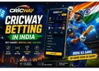 Cricway Betting in India | Live Cricket Betting