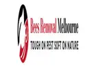 Professional Bees Removal Melbourne: Safe, Fast & Eco-Friendly Solutions