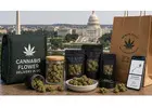 Enjoy Premium Cannabis Flower Delivery In Dc With Top Shelf Varieties