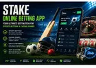 Stake Online Betting App Guide 2026 | Features