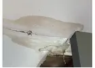 Greenville Emergency Fire, Mold & Water Damage Repair Services