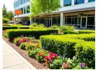 Smart Lawn Care with Irrigation Orlando FL Experts