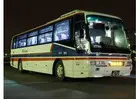 Birthday Bus Hire Brooklyn
