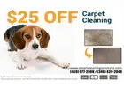 Steam Cleaning Service Dallas TX