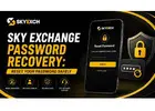 Sky Exchange Password Recovery: Reset Your Password Safely