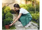 Garden Design Services for Functional and Beautiful Landscapes