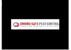 Rat removal Melbourne