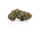 Buy Master Kush Weed Strain Online in Canada