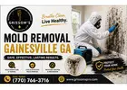 Mold Removal