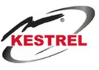 Best Security Company in Singapore | Kestrel