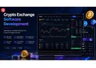 How Long Does It Take to Build Crypto Exchange Software?