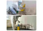Can Melbourne Mould Removal Protect Your Property?
