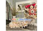 Authentic Chinese Dance, Dragon Dance & Cultural Costumes for Schools & Teams | Since 2003