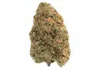 Why Red Congolese Continues to Attract Cannabis Consumers in Vancouver