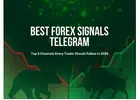 Best Forex Signals Telegram Channels