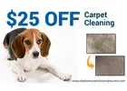 Elephant Carpet Cleaning Houston
