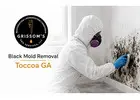 Black Mold Removal