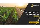 Established Agricultural Land in Shirpur — Find Fertile Farm Plots | Propertzz