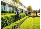 Refresh Your Property With Quality Outdoor Care