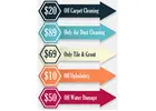 Spring TX Carpet Cleaning
