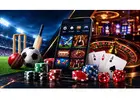 Raja567 – Online Betting And Gaming Platform