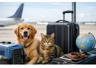 Pet Relocation Services: Domestic & International Moves