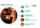 Transform Your Health Naturally with Expert Ayurvedic Care in Ayurvedic Medicine Sydney