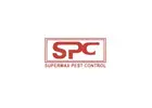 Trusted Pest Control Support for Homes in Navi Mumbai