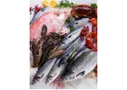 Best Fish Shopping Destination in Dubai