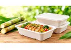Sugar Cane Food Containers for Sustainable Food Packaging in