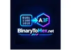 Binary To Hex Converter