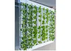 Vertical Farming Conveyor Systems