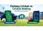 Fantasy Cricket vs Cricket Betting: Key Differences Explained