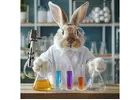 Discover Fun and Learning at Science Birthday Parties