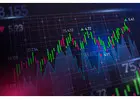 Explore Market Research Services with a 15-Day Free Trial