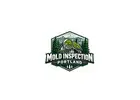 Mold Inspection Portland