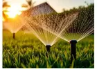 Enhance Commercial Grounds With Seasonal Landscape Care Plans