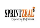 Best Multilingual Call Center