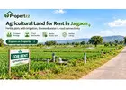 Agricultural Land for Rent in Jalgaon with Verified Farm Listings | Propertzz