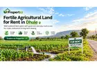 Fertile Agricultural Land for Rent in Dhule for Long-Term Farming | Propertzz