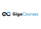 Complete Learning Guide for the Alex Hormozi Course