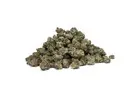 Buy Viper Popcorn Hybrid Strian Online in Canada