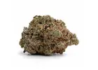 Buy Death Bubba Weed Strain Canada