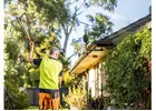 Find genuine Tree Removal Service Murray Bridge