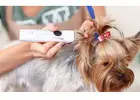 Dog Grooming in Gurgaon – Doorstep Bath, Haircut & Paw Care