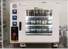 Vape Packaging Machine Solutions for Modern Manufacturing