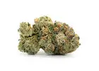 Buy Critical Kush Strain Online in Canada